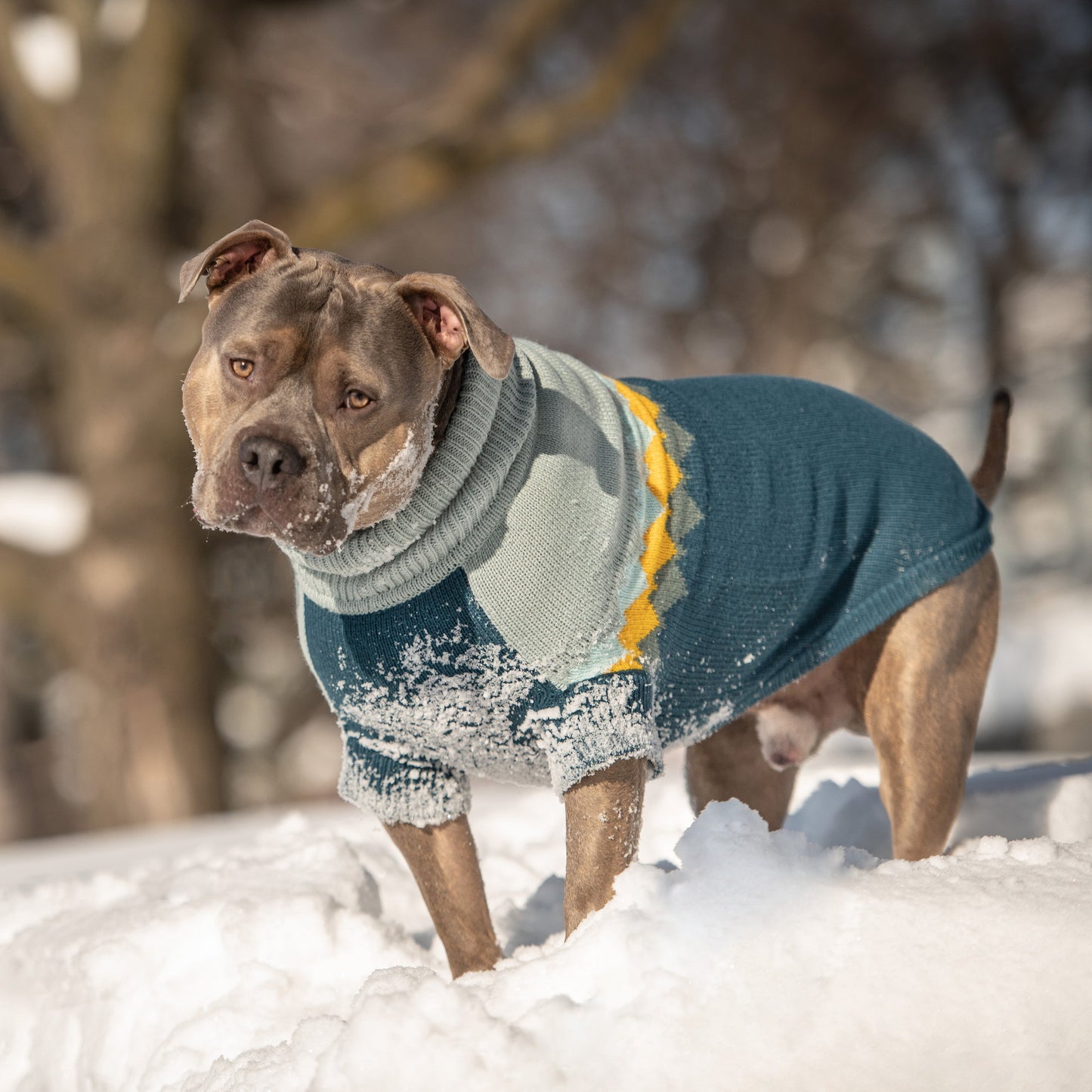 Fireside Sweater - Teal - GF Pet.us