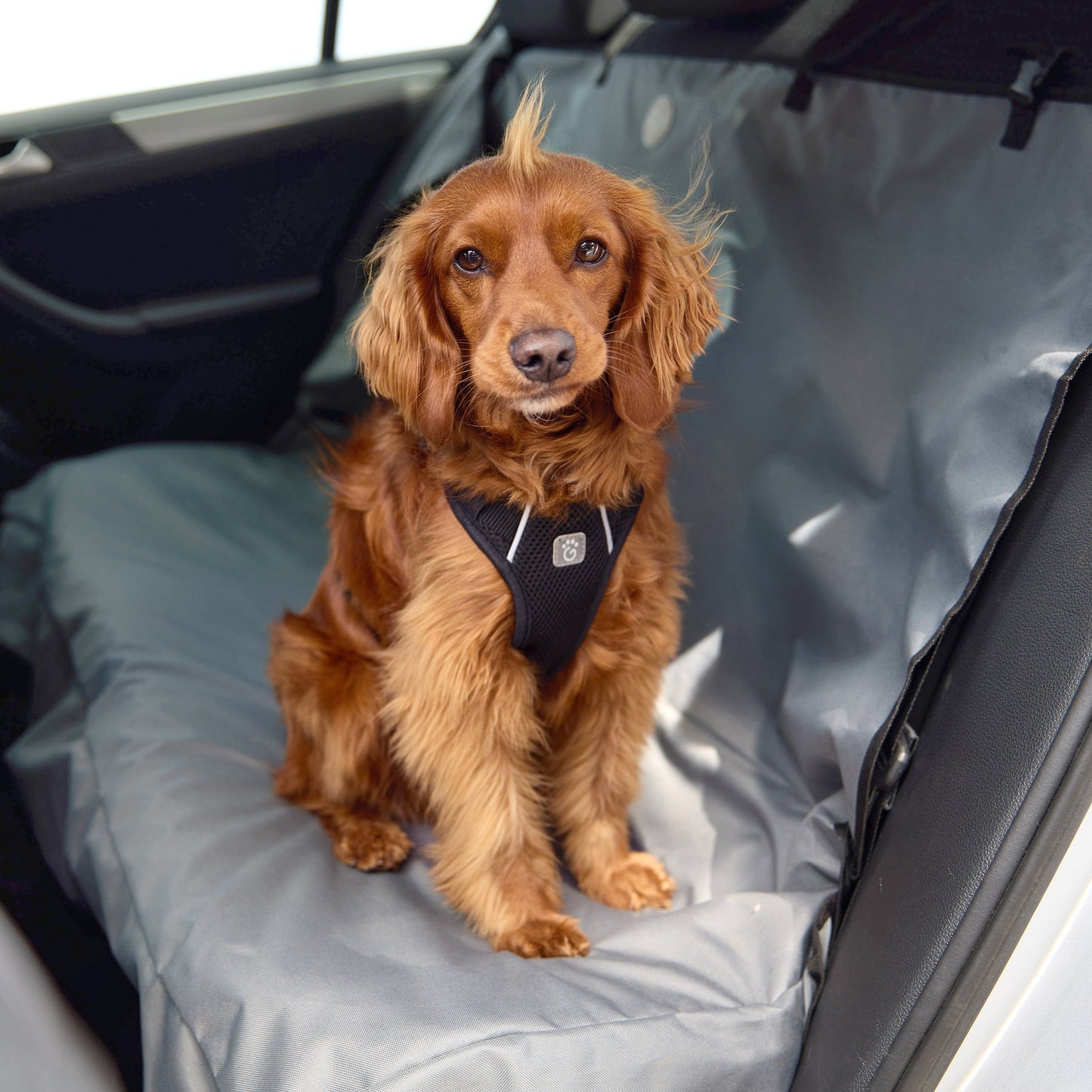 Car Pet Bench Seat Cover