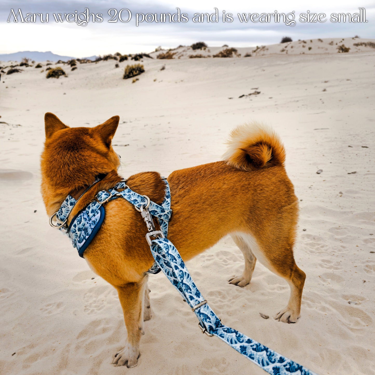 Dog Collar Japanese Wave Pattern Blue Silver ๐