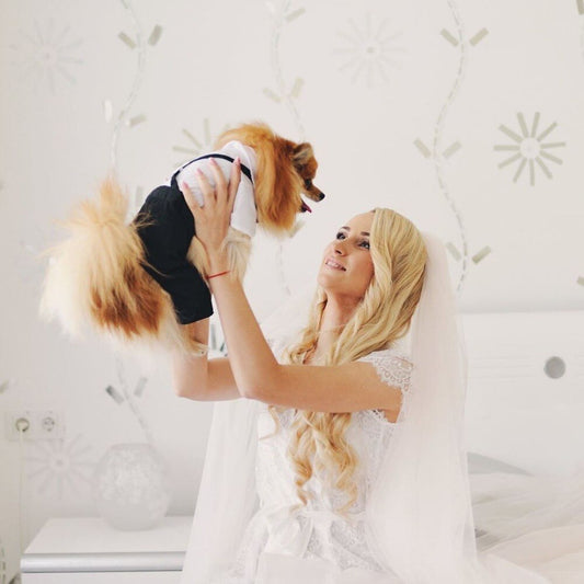 Handsome Stylish Pet Suit with Bow Tie - Purrfect Pet Kingdom