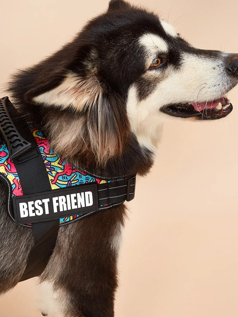 🦮 Professional Service Dog Harness - Custom ID Vest with Reflective Safety Design