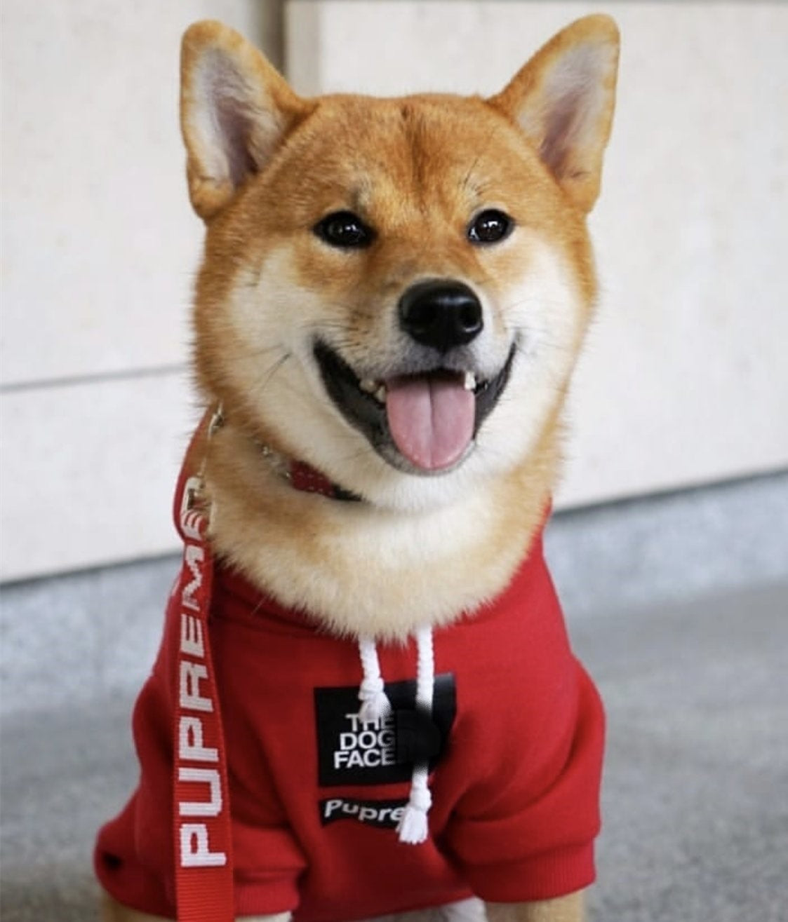 Dog Hoodie Sport Retro Style Pet Clothes S-XXL ✅