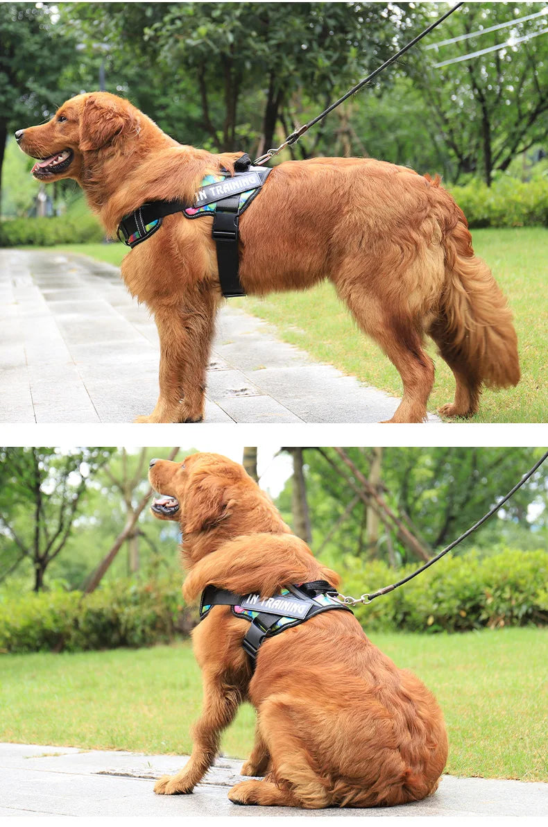 Adjustable Reflective Dog Harness - Purrfect Pet Kingdom