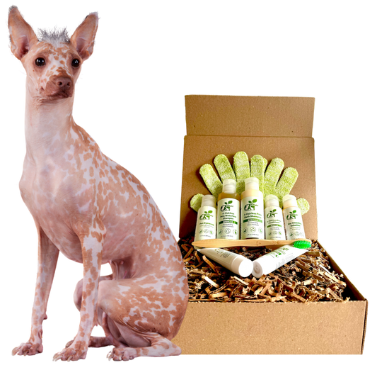 4-HAIRLESS PETS *DOG REGULAR KIT