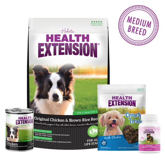 Welcome Home Kit - New Puppy Gift Box