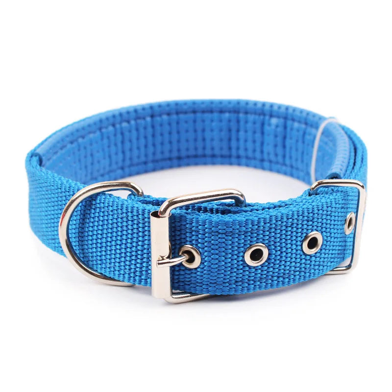Solid Nylon Dog Collar – Strong & Durable for All Dog Sizes - WTN Essentials