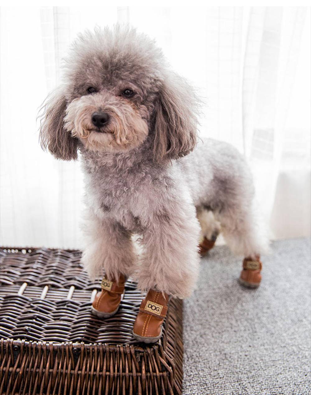 Dog Snow Boots Waterproof Fleece Lined Warm Winter 🥾