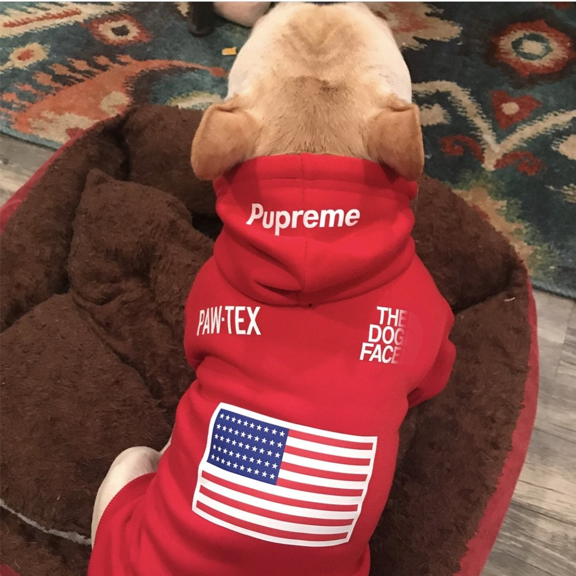 Dog Hoodie Sport Retro Style Pet Clothes S-XXL ✅