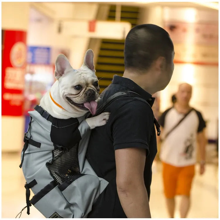 Hiking Pet Dog Carrier Travel Backpack Outdoor Ventilation Outdoor Sport Mesh - Pet carrier - THRIXINE