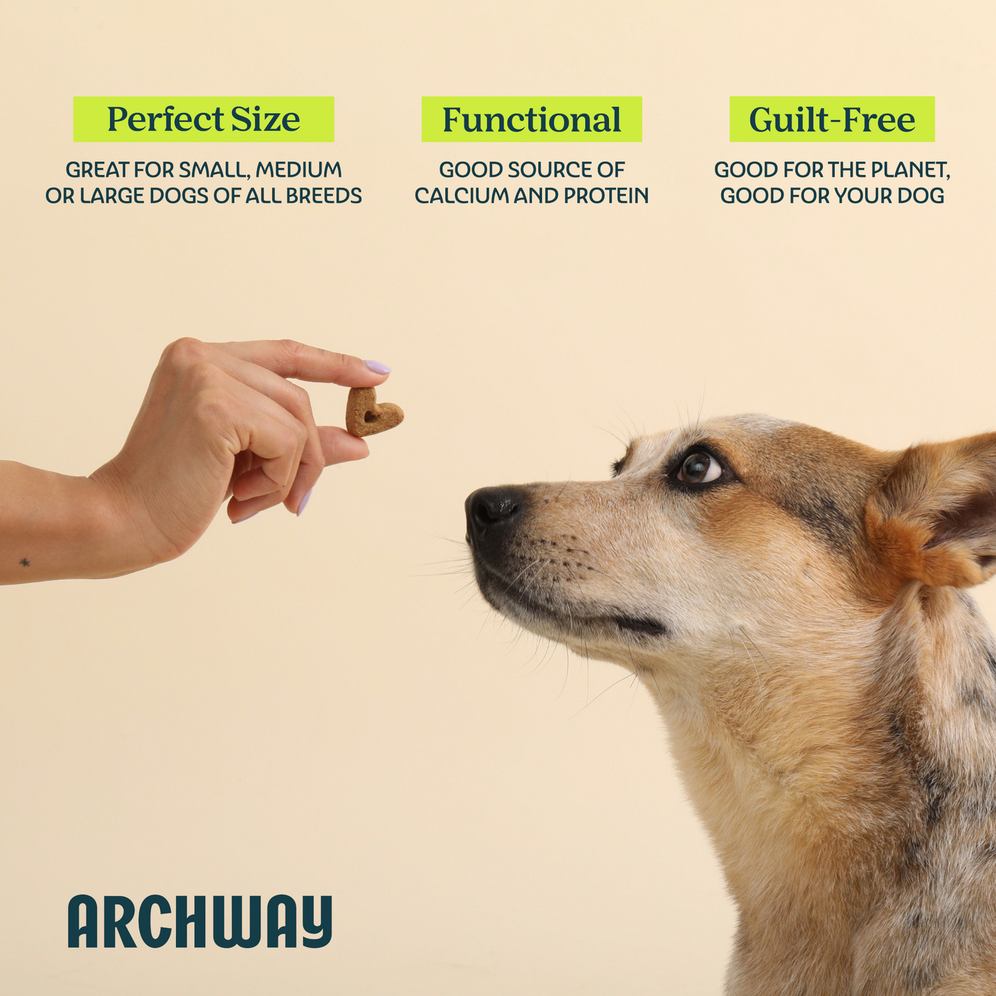 Hip & Joint Health - Dog Treats - Arch Pet Food