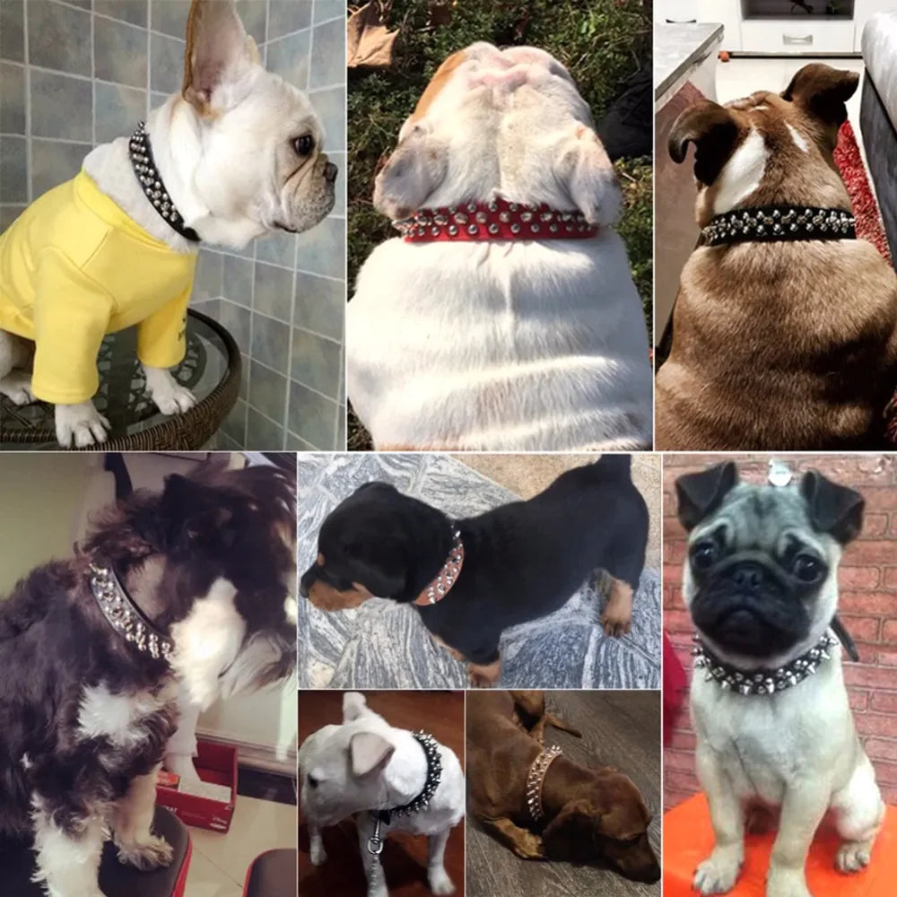 Rugged Leather Spiked Collar for Dogs and Cats - Ameraeon