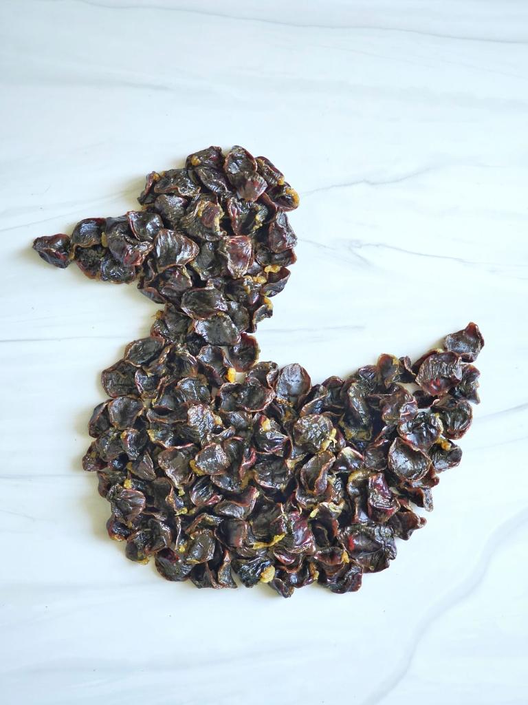 Naked Beasts Antibiotic-Free Duck Gizzard Dog Treats 16oz