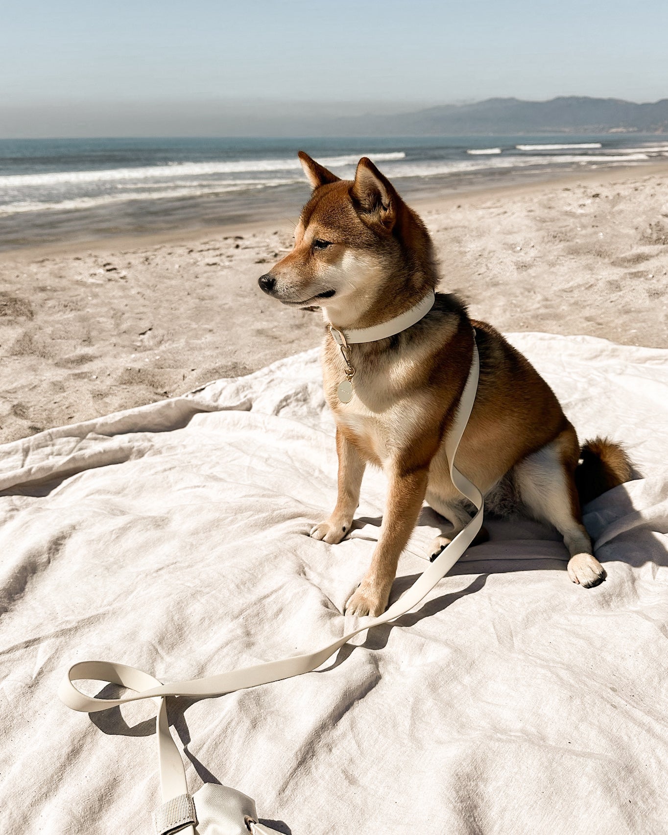 Elise Leash - Bone - Pet Leashes - Elise Galleria