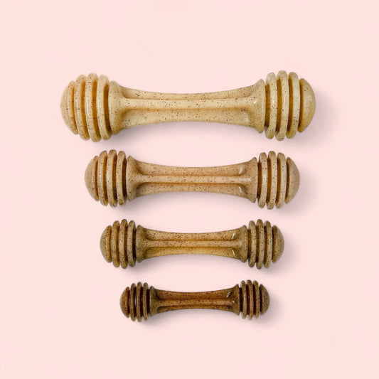 Honey Bone eChew Ultra Durable Nylon Dog Chew Toy-Purrfect Pet Kingdom