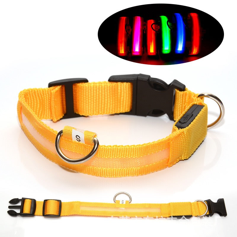 LED Glowing Pet Collar - Yellow - lifestyle view
