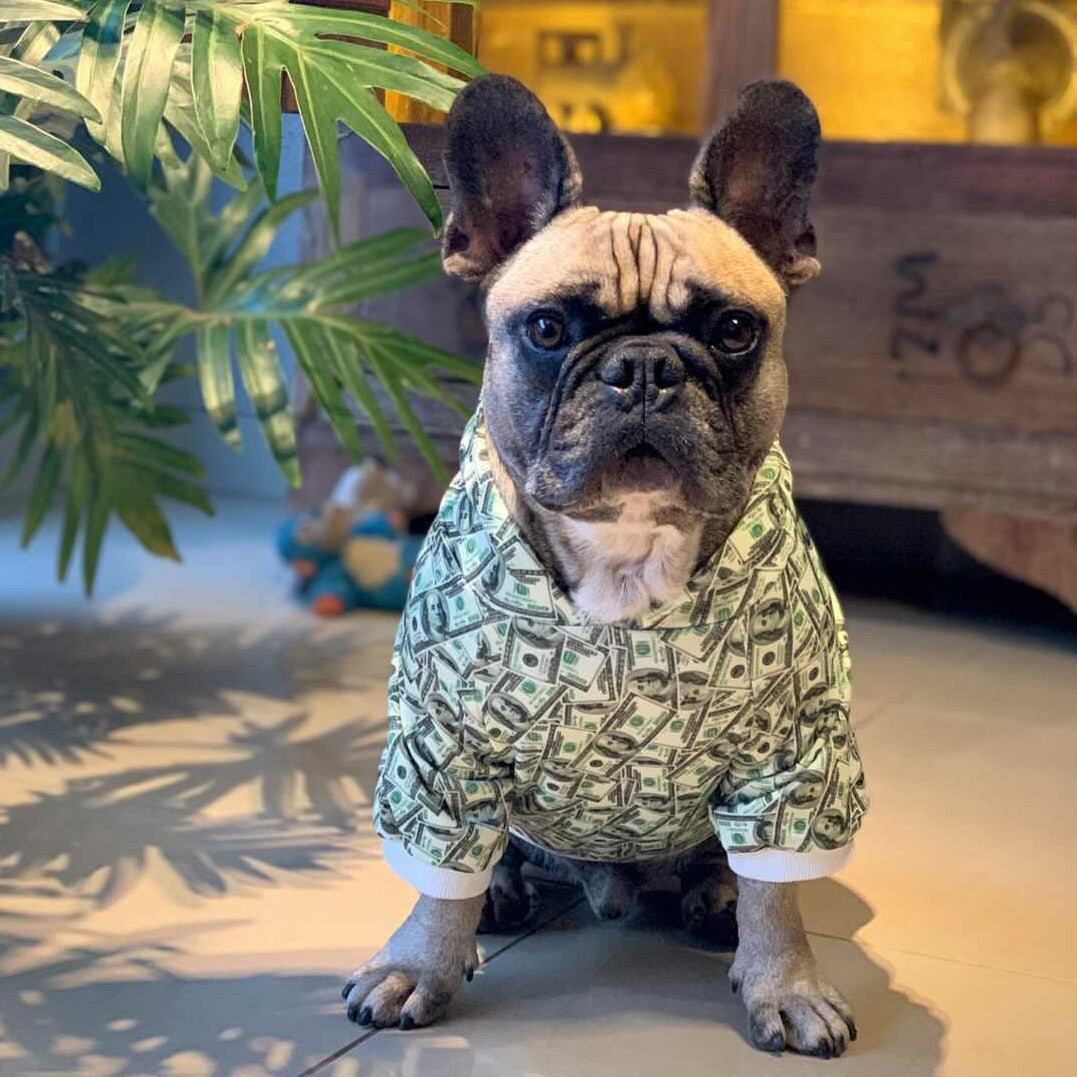 Dog Hoodie Money Print Funny Pet Clothes ๐ต