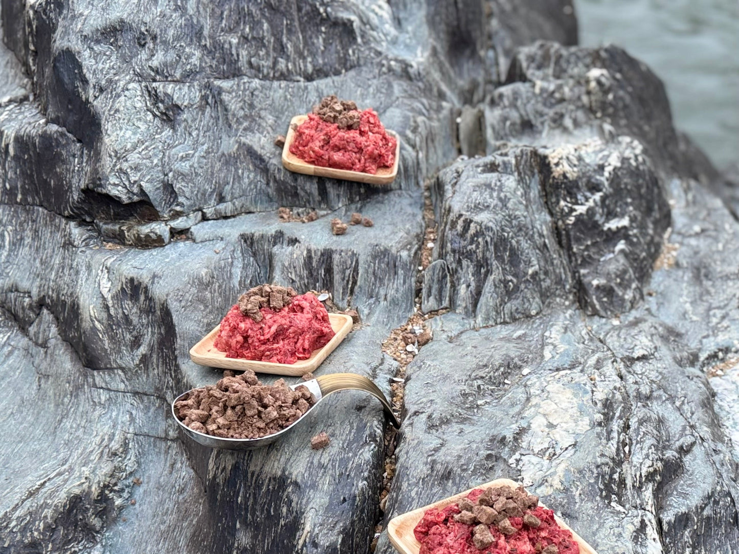 Freeze Dried Raw Dog Food - Muscle Blend (Small Batch)