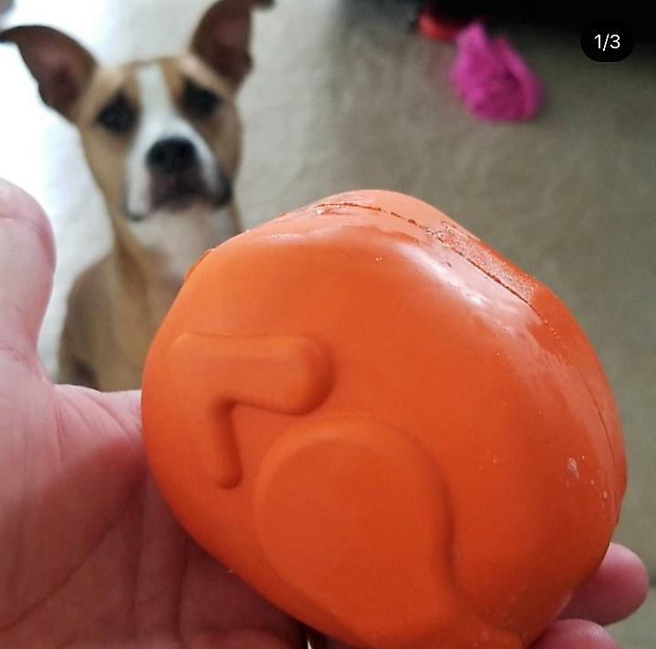 Roasted Turkey Dog Chew Toy & Treat Dispenser - USA Made