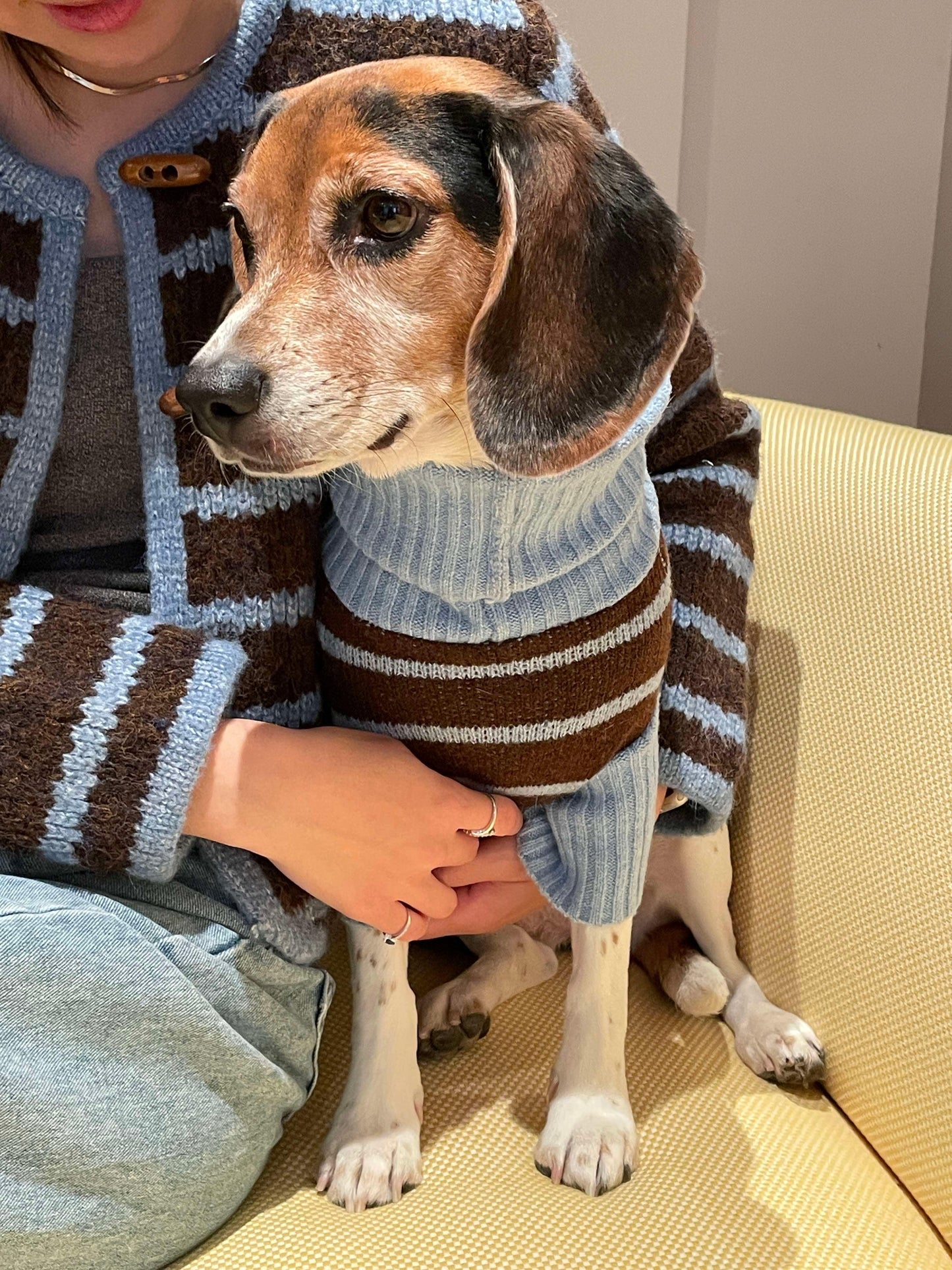 Dog Sweater Bluebell Stripes Two-Tone Turtleneck 🧶