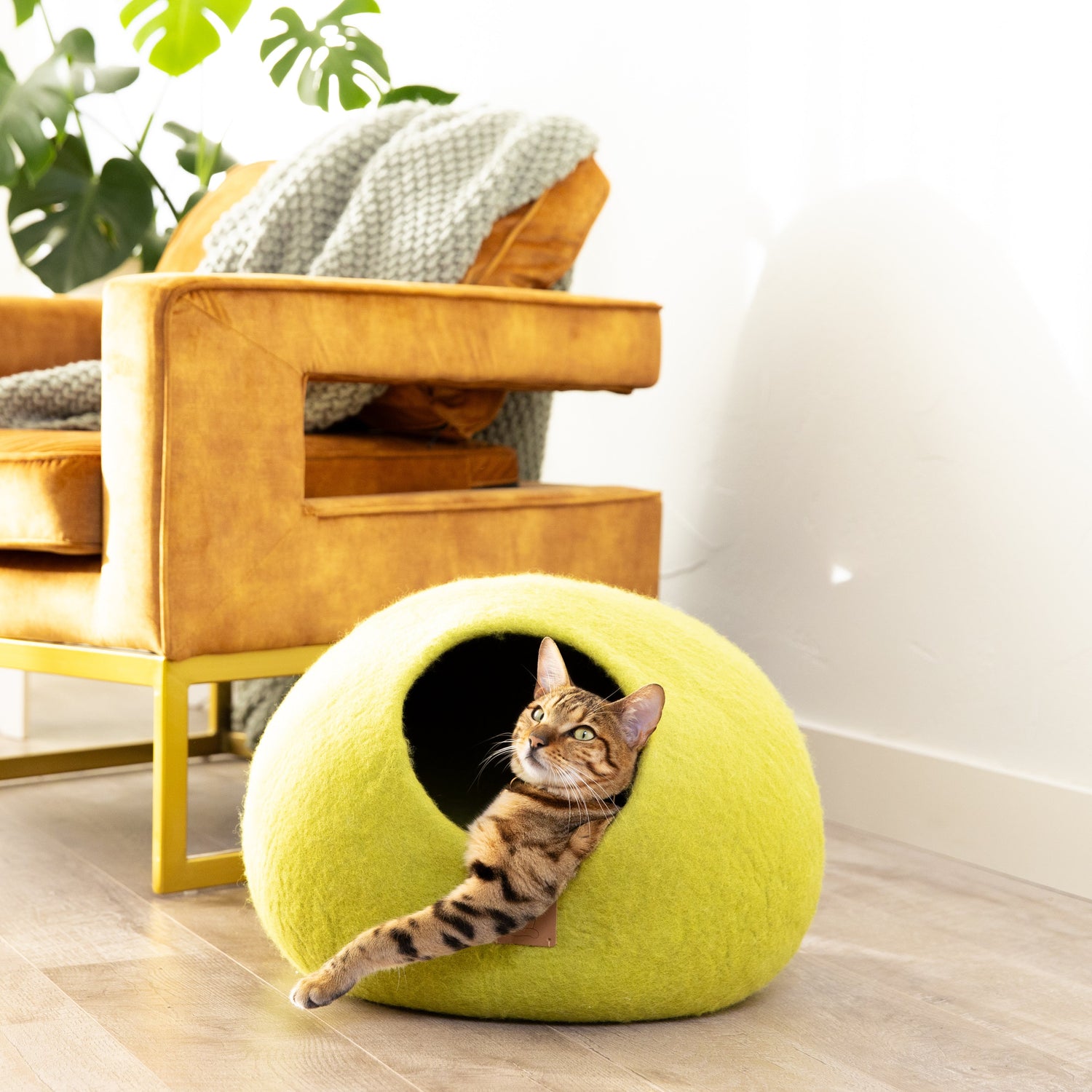 Citrus Green | Round Style Cave by Fuzzy Cove - Cat Condos & Houses - The Family Pet - Regular - BDDF_SKUW4SfpYhEScdIDNo3