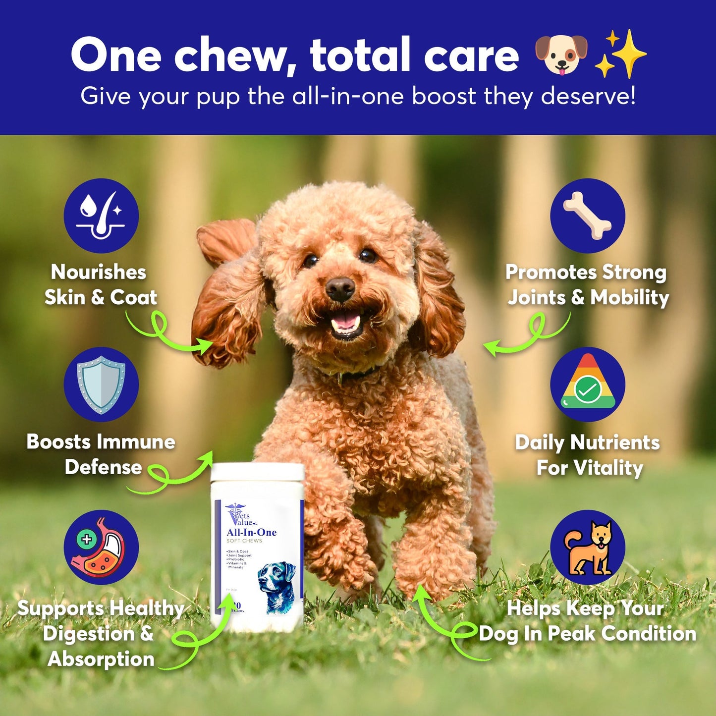 Dog Multivitamin Chews (120 Soft Chews) - All - in - One Vitamins for Dogs of All Ages, Sizes & Breeds | Supports Immunity, Digestive Health, Skin, Coat Joint Health with Glucosamine, Omega Fatty Acids - Horizon Animal Care
