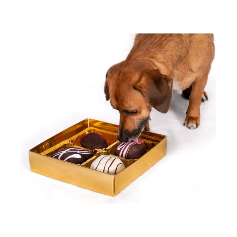 Dogiva Box of Chocolates Dog Toy Set - 4 Pc