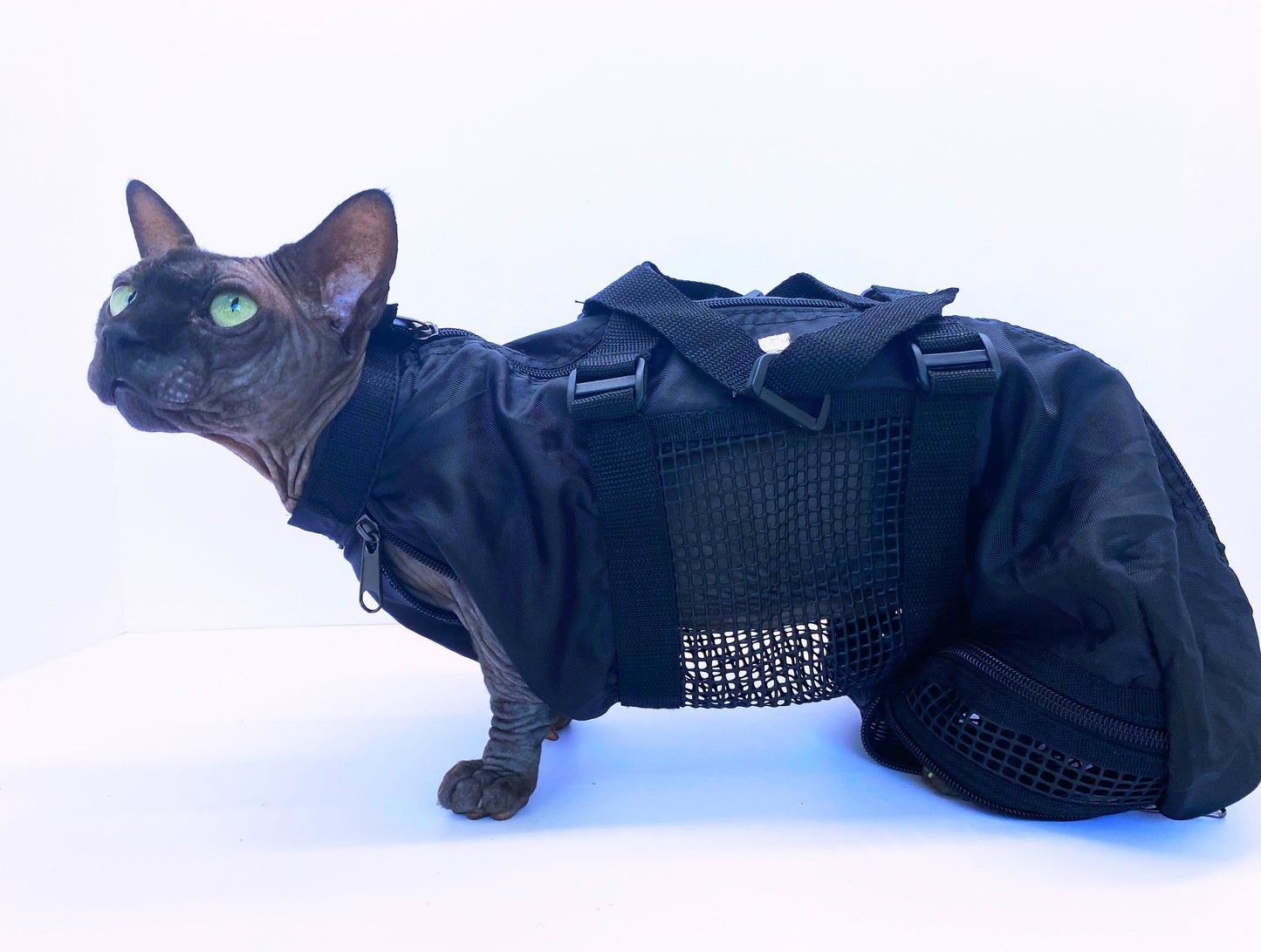CAT/SMALL DOG GROOMING BAG - Pet Grooming - ReNewedPet