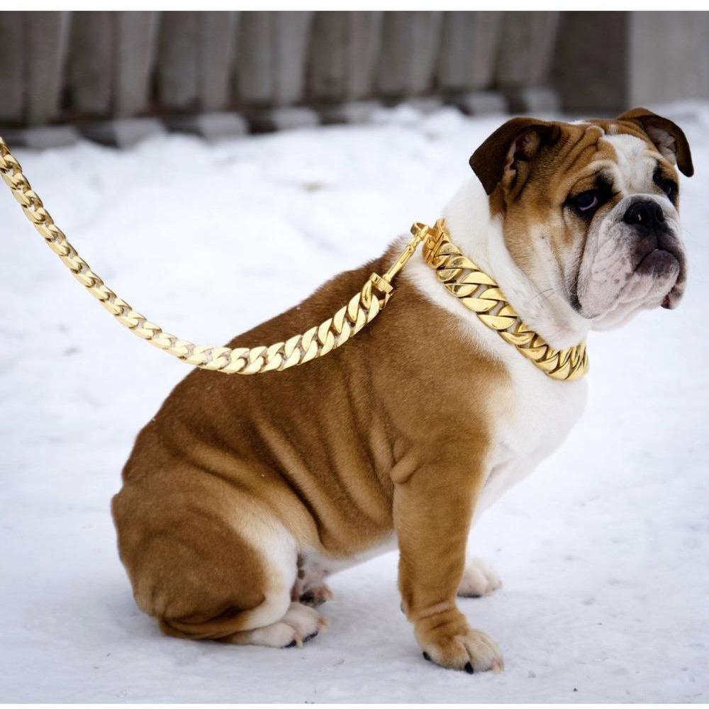 Dog Leash Cuban Link 14K Gold Plated Luxury Kilo ⛓️