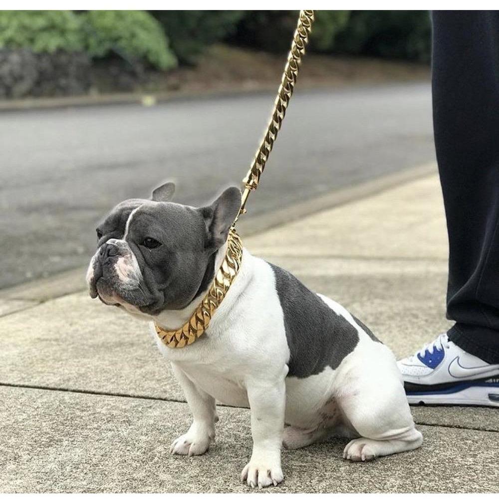 Dog Leash Cuban Link 14K Gold Plated Luxury Kilo ⛓️