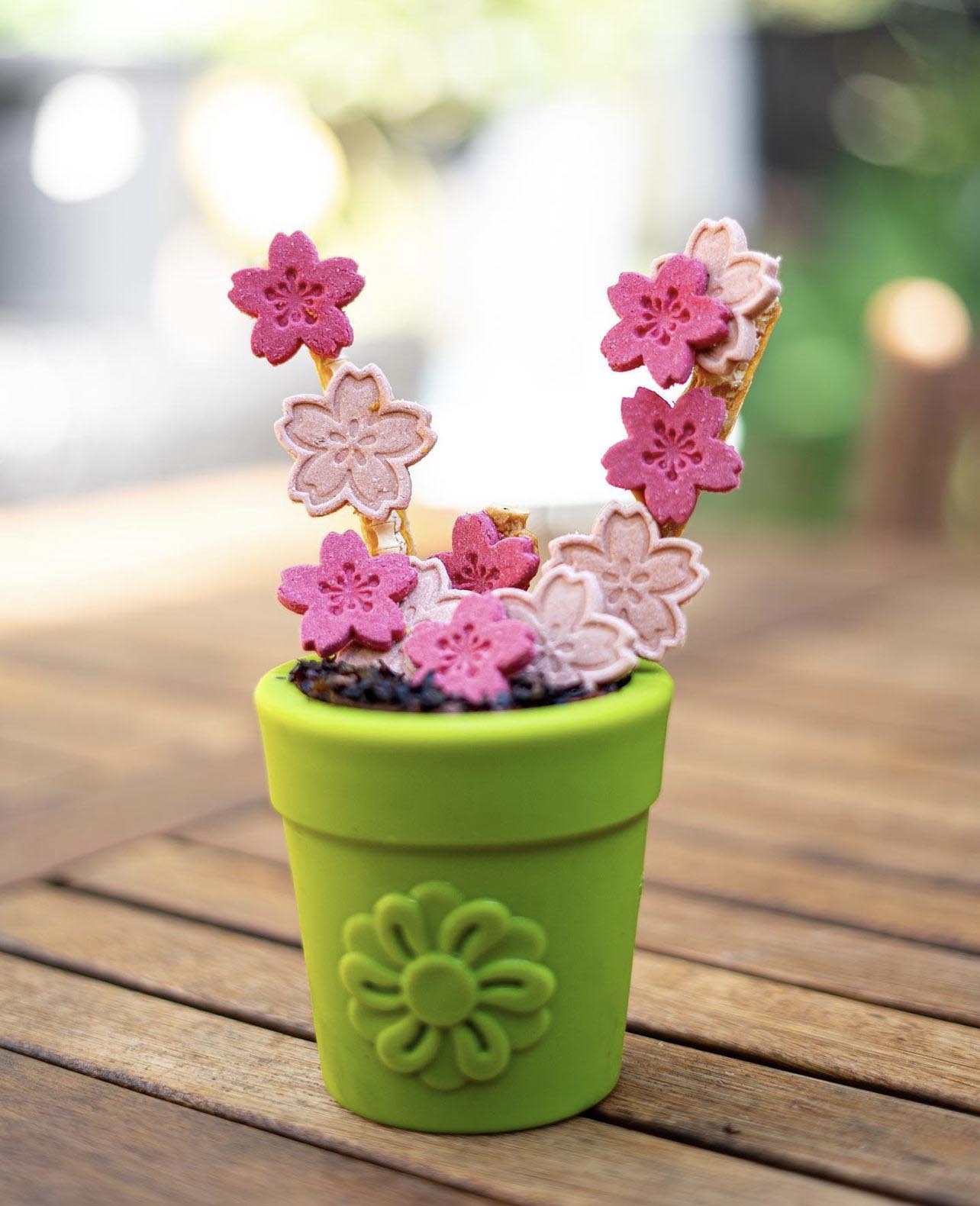Large Flower Pot eCup Dog Treat Dispenser | Durable USA-Made
