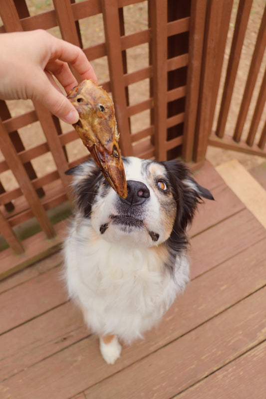Natural Duck Head Dog Chews for Healthy Teeth and Shiny Coat