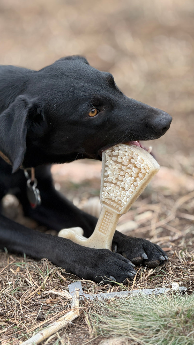 Waffle Tower Nylon Chew & Enrichment Toy | 2-in-1 for Aggressive