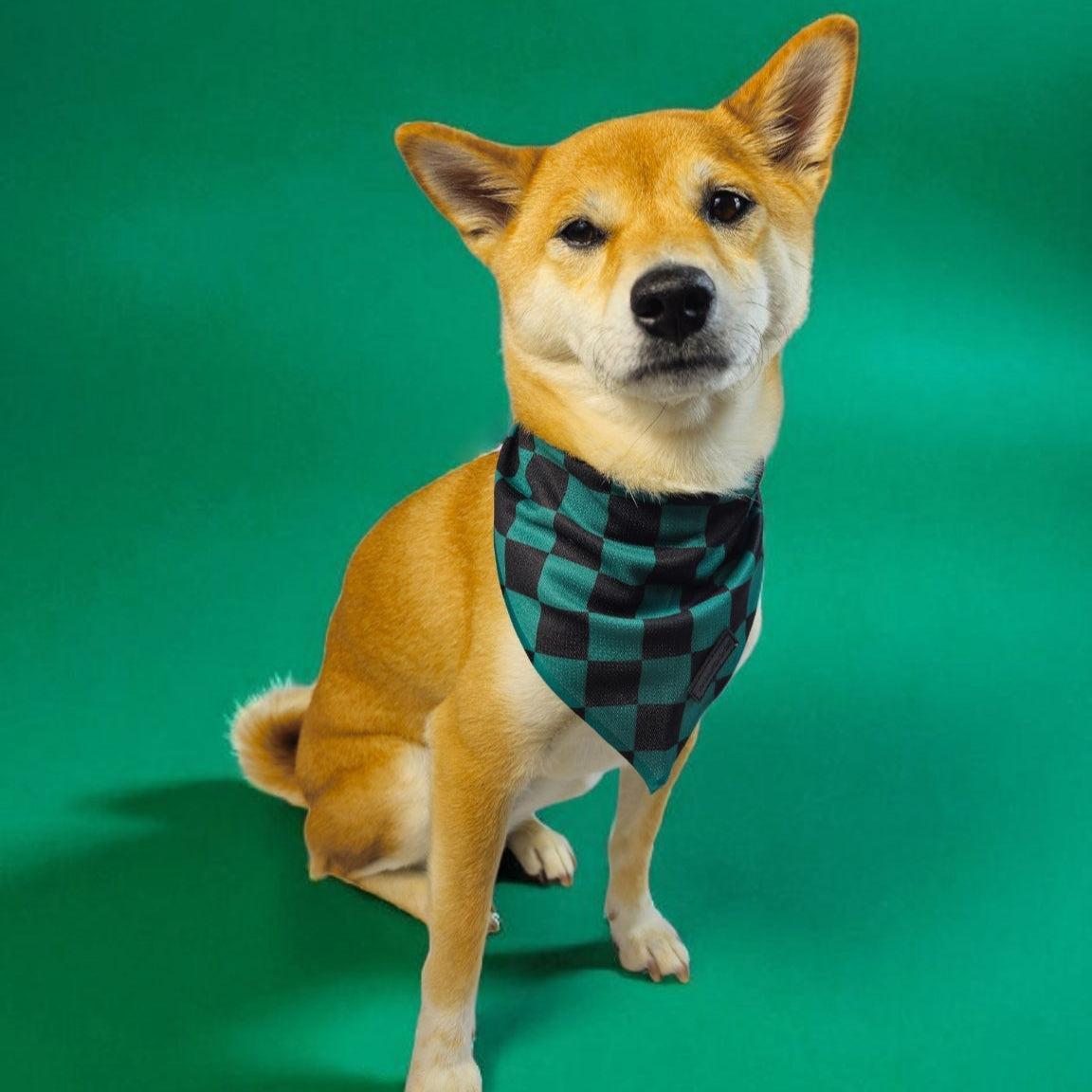 Ichimatsu Checker Cooling Bandana - Purrfect Pet Kingdom