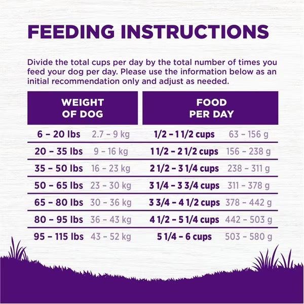 Wellness Complete Health Beef & Barley Adult Dry Dog Food - Dry Dog Food - The Family Pet