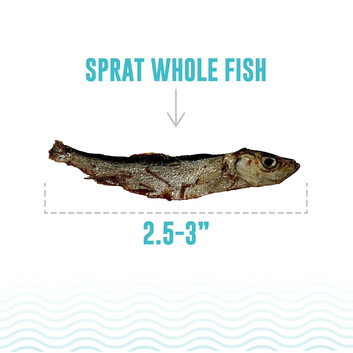 Cat Treats Whole Sprats Freeze Dried 0.85 Oz ๐