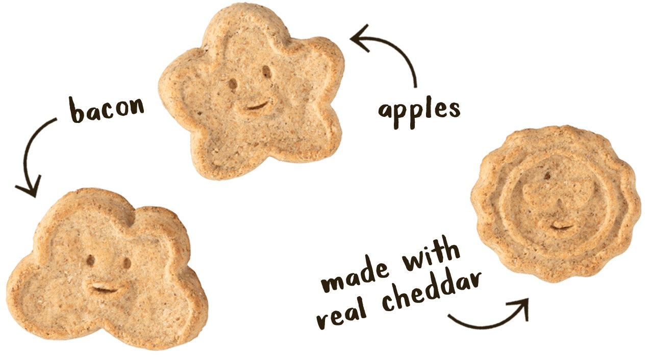 Dog Treats Bacon Cheese Apple Biscuits Wagmore 16oz ๐ฅ