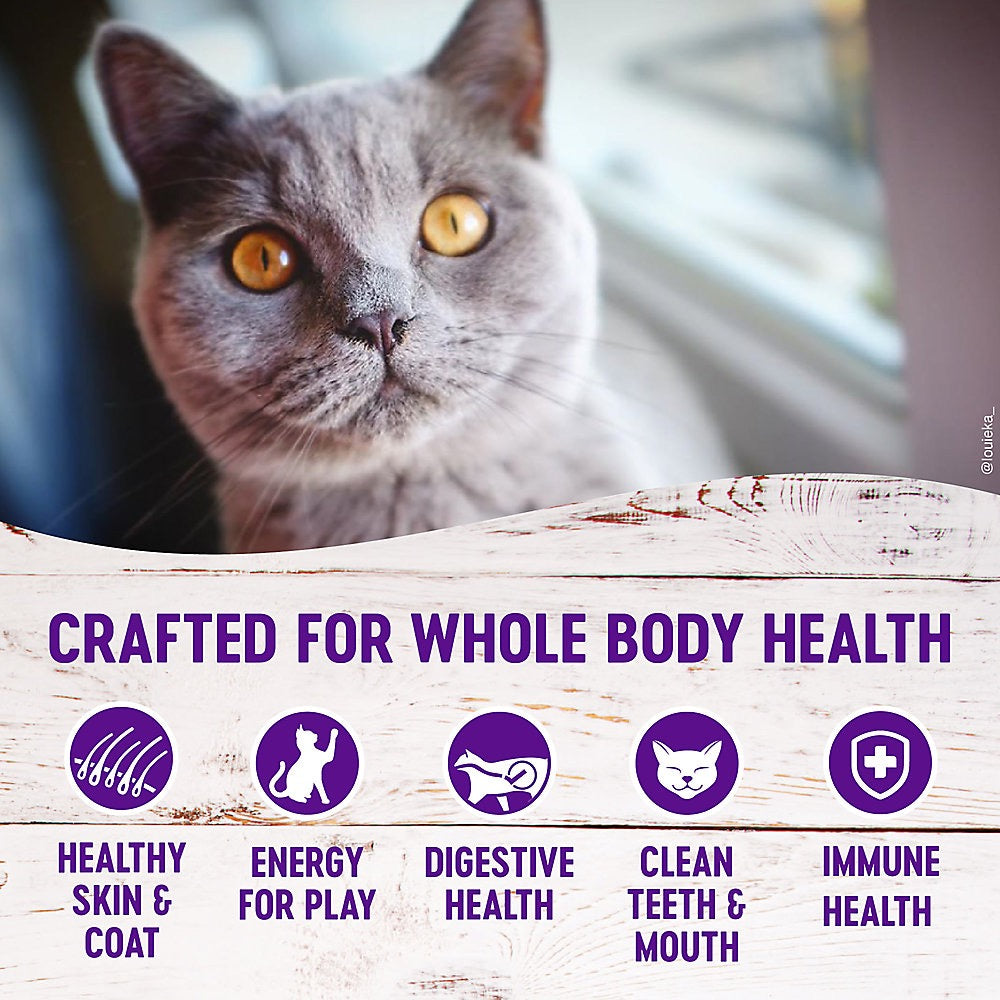 Wellness Complete Health Indoor Healthy Weight Chicken & Turkey Dry Cat Food (5.5lb)