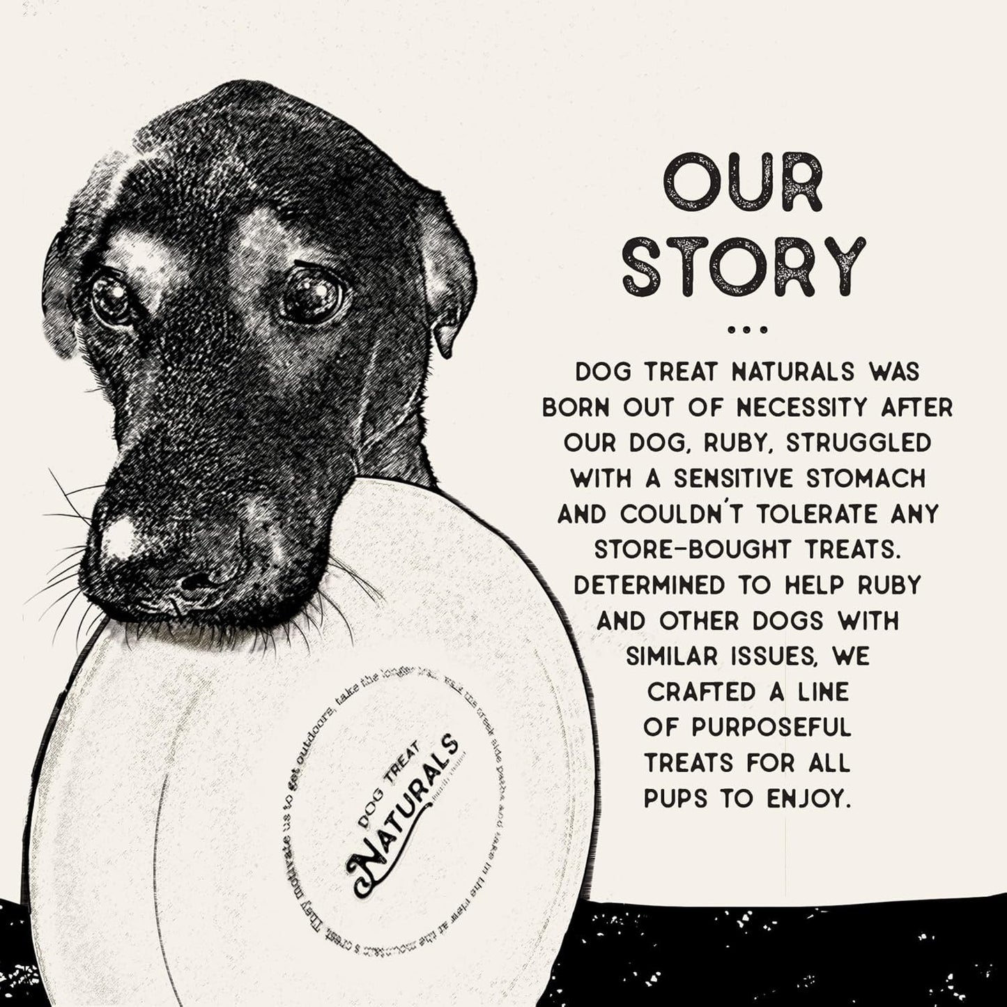 Dog Treat Naturals Superfood Sticks, Beef & Pumpkin Dog Treats (10oz) - Chewy Dog Treats - The Family Pet