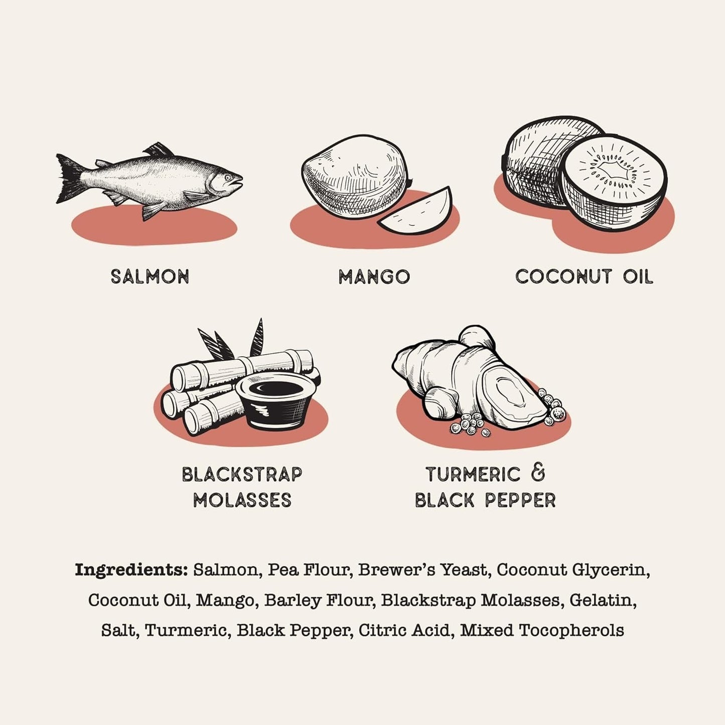 Dog Treat Superfood Sticks, Salmon & Mango Dog Treats (10oz) - Chewy Dog Treats - The Family Pet