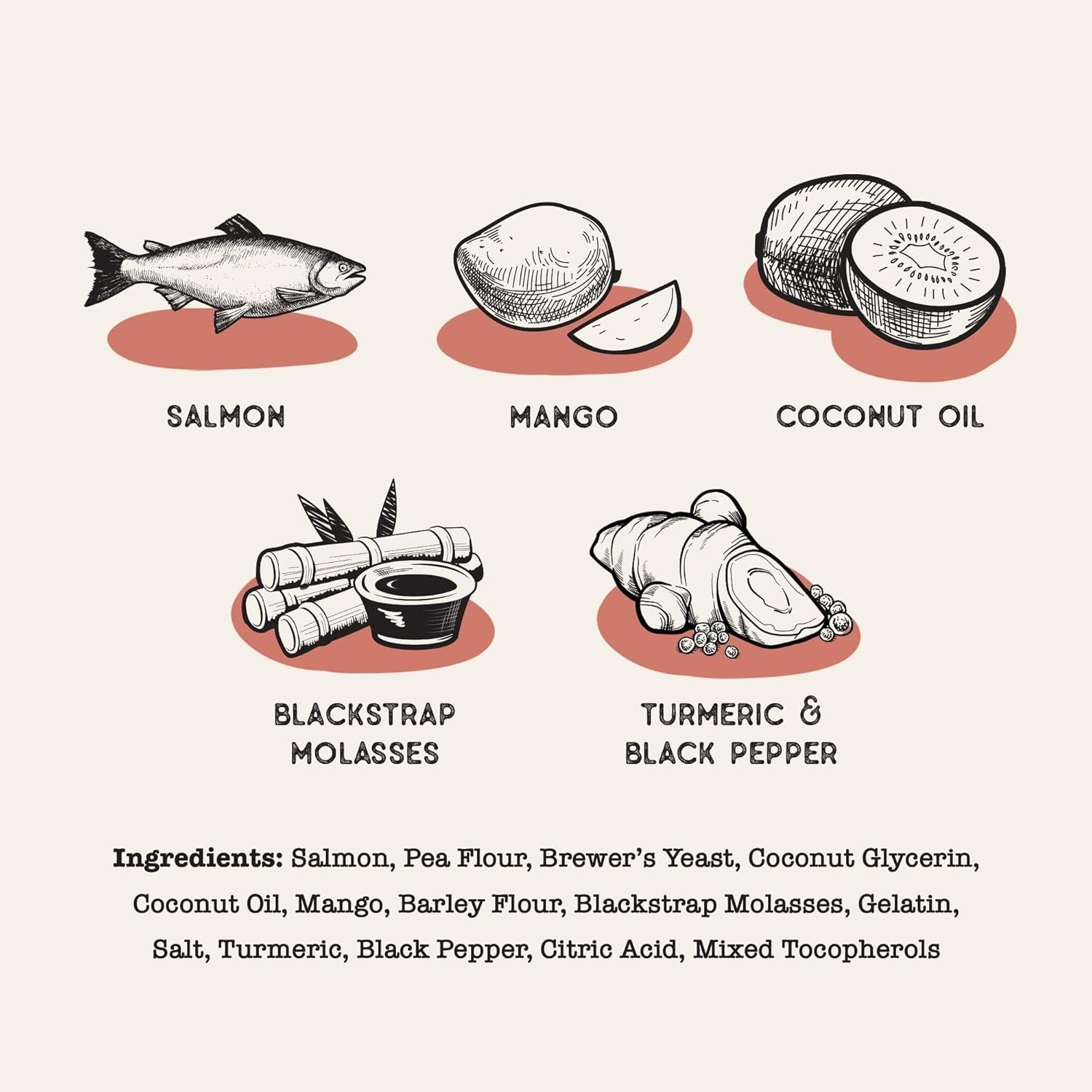 Dog Treat Superfood Sticks, Salmon & Mango Dog Treats (10oz) - Chewy Dog Treats - The Family Pet