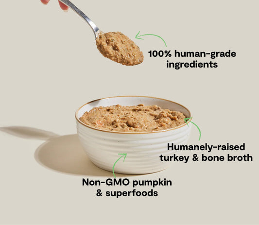 Open Farm Grain Free Homestead Turkey Wet Cat Food 5.5oz Can