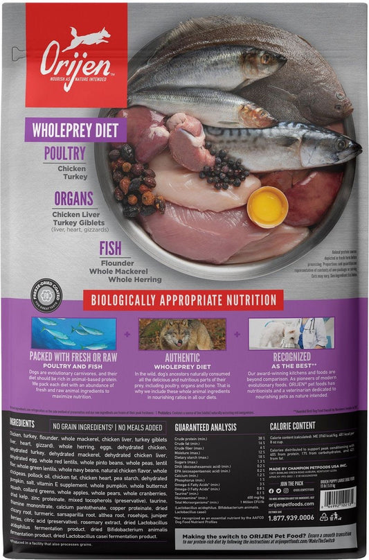 Orijen Large Breed Puppy Dry Dog Food - Orijen Dry Dog Food - The Family Pet