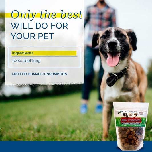 PCI Beef Crunchers Lung Bites Dog Treats (8oz)