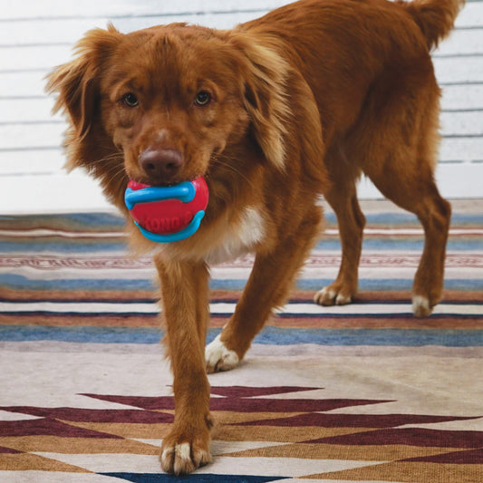 KONG Jaxx Brights Tug W Ball Medium Fetch Dog Toy Durable - detail view