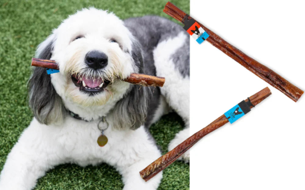 Stash Dog Jumbo USA Bully Stick (12inch) - Dog Treats - The Family Pet