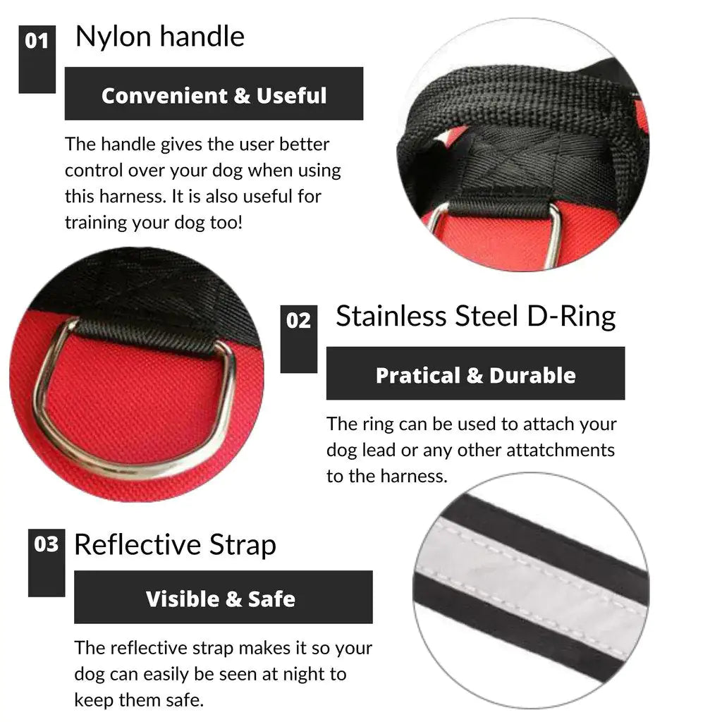 Safety Dog Harness - Dog Harnesses - Mimarta