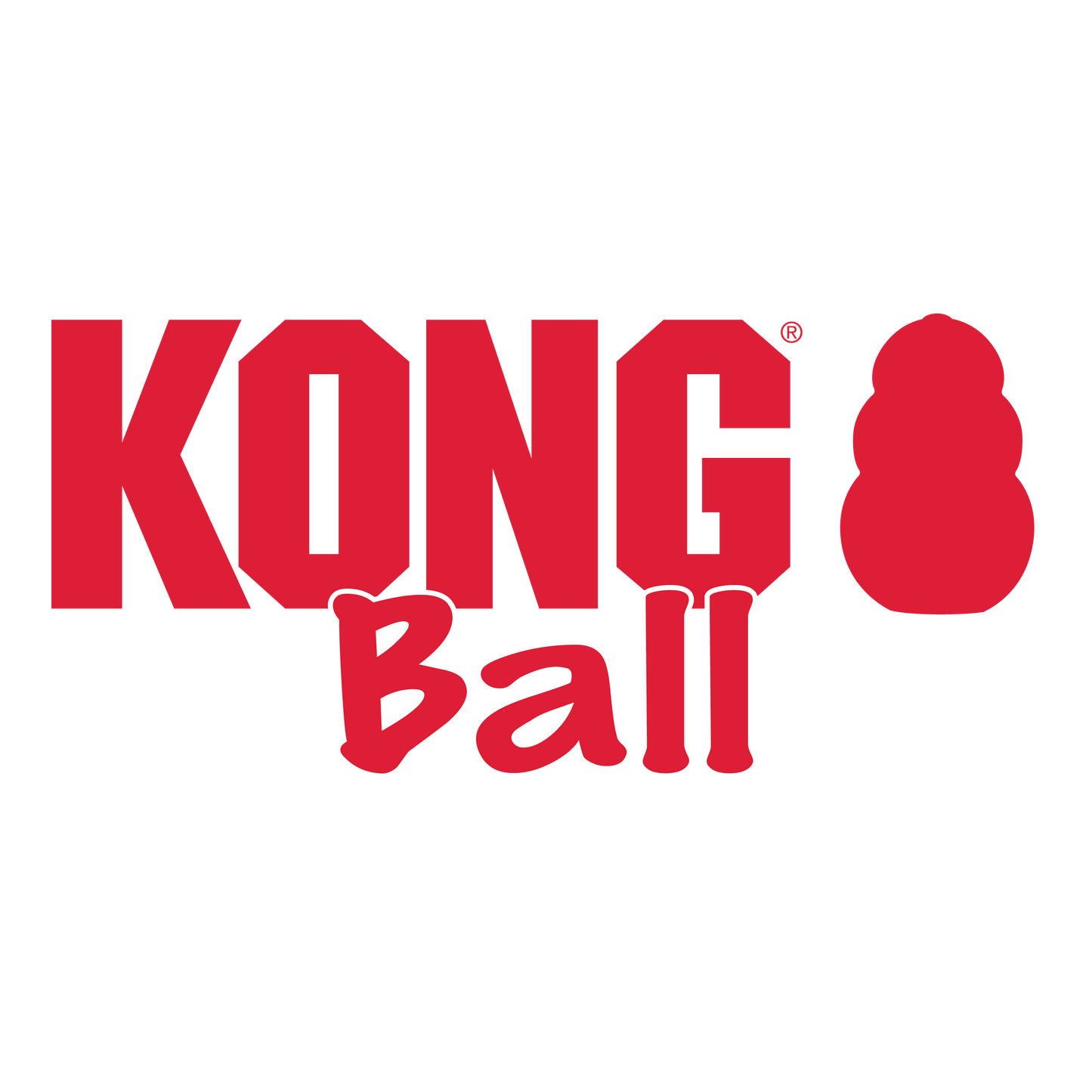Kong Ball with Hole Small - Kong Dog Toys - The Family Pet