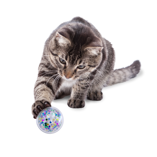 KONG Confetti Rattle Cat Ball Toy