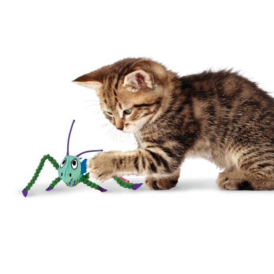 Kong Crackles Grasshopper - Cat Toys - The Family Pet
