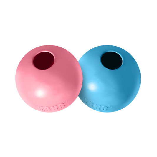 Kong Puppy Ball With Hole Small - Dog Toy - The Family Pet